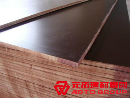  河北木模板如何選購(gòu)？建筑木模板選購(gòu)注意哪些方面？