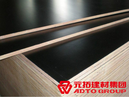 河北建筑木模板生產(chǎn)廠家怎么選購？